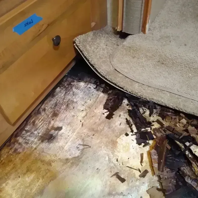 Wood Floor Water Damage in Zephyrhills South, FL